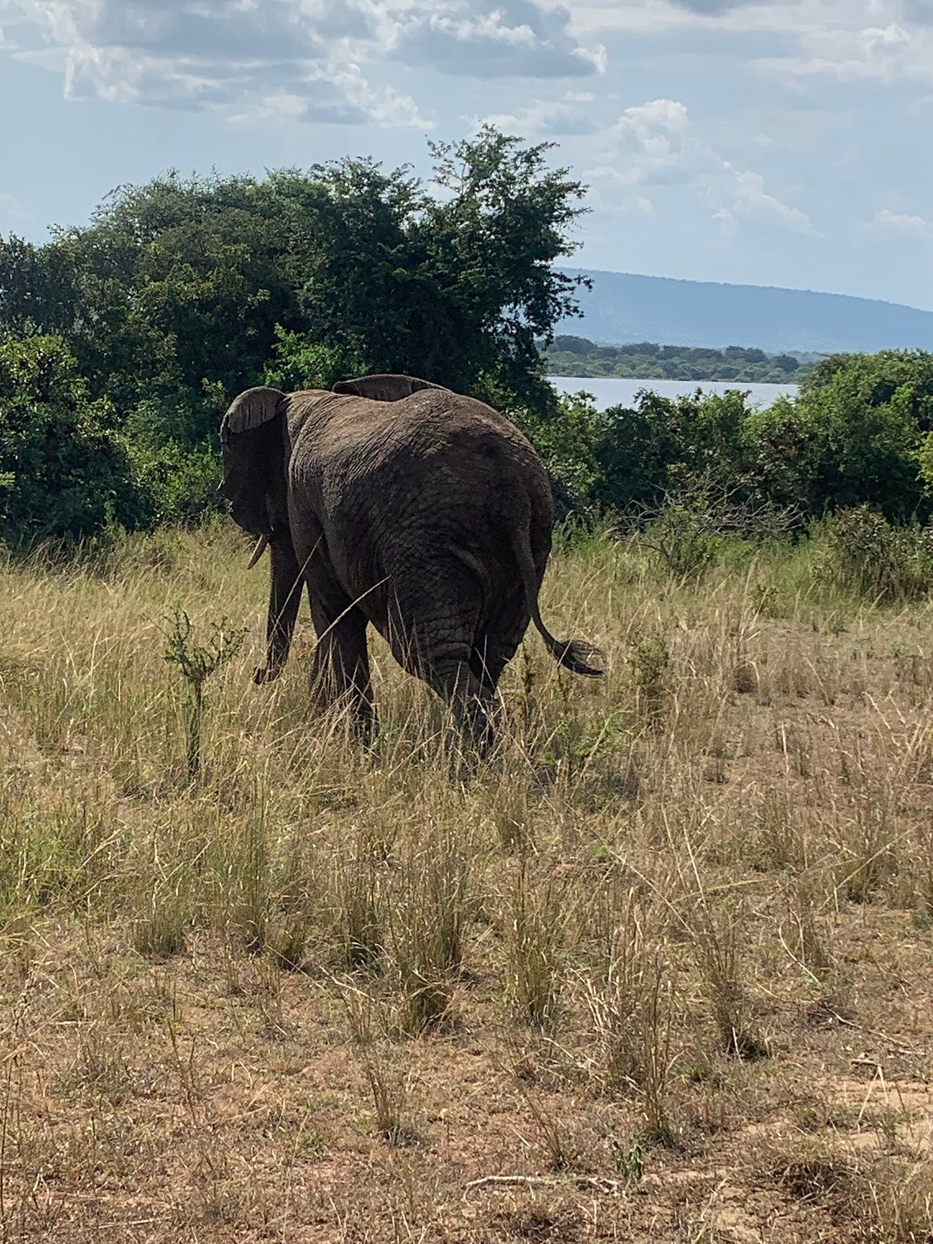 Nature & Conservation